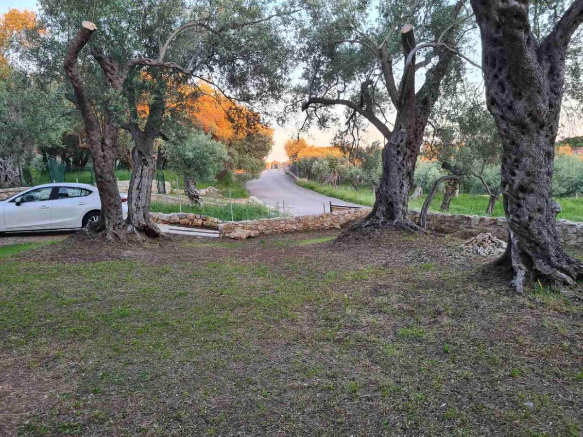 Olea Cottage Ulcinj Exteriör bild