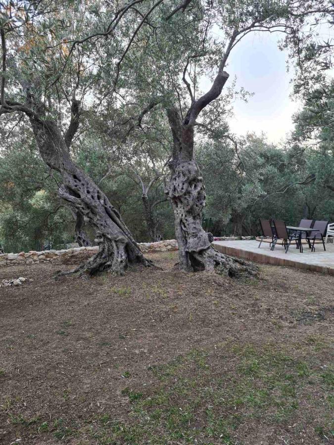 Olea Cottage Ulcinj Exteriör bild