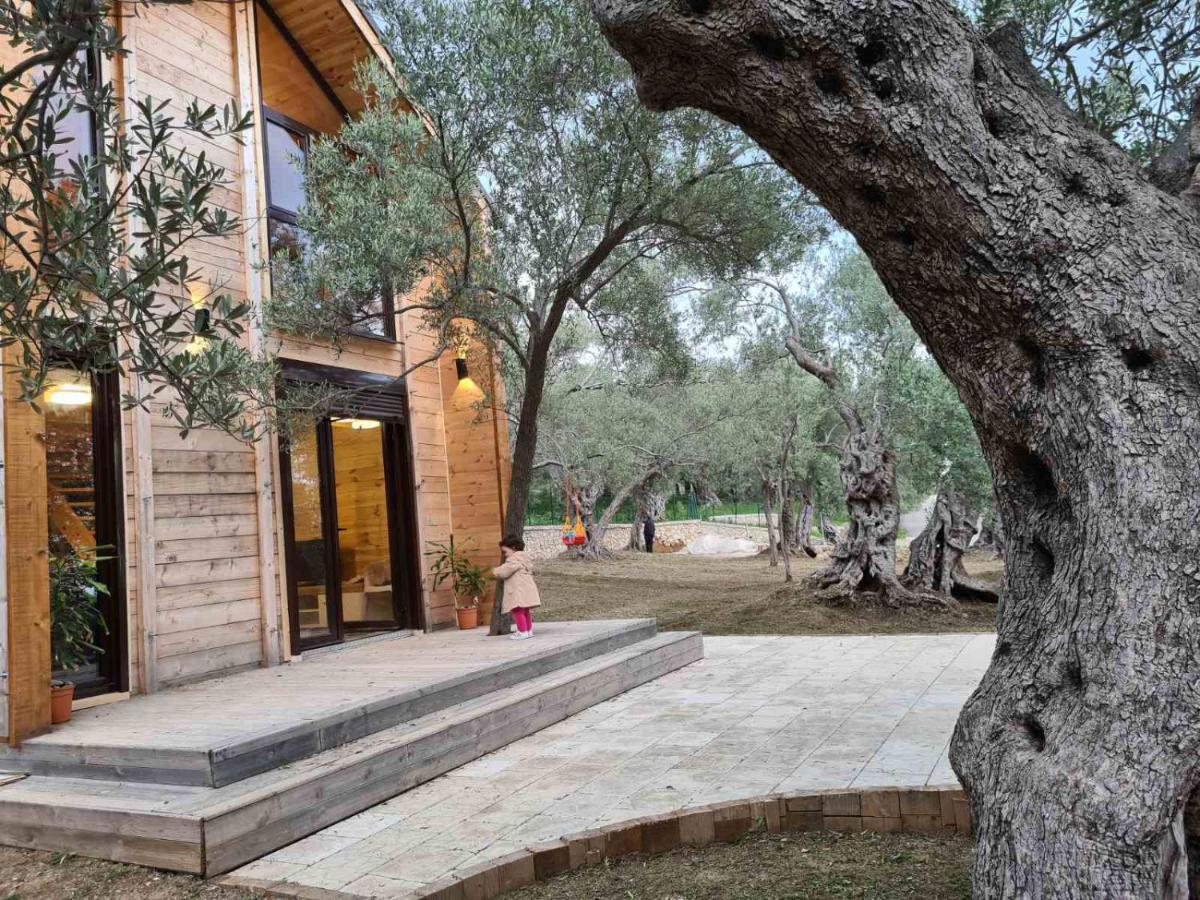 Olea Cottage Ulcinj Exteriör bild