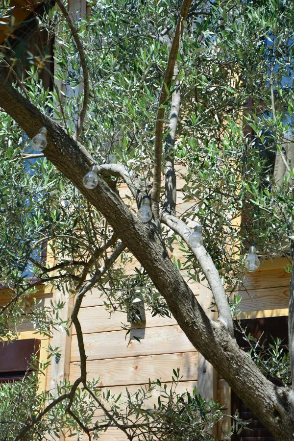 Olea Cottage Ulcinj Exteriör bild